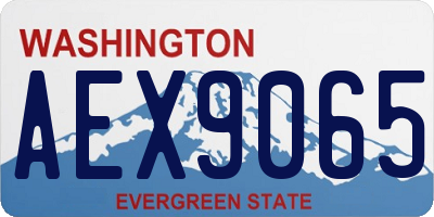 WA license plate AEX9065