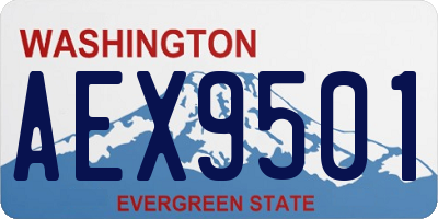 WA license plate AEX9501