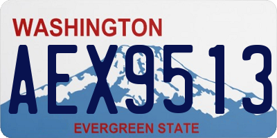 WA license plate AEX9513