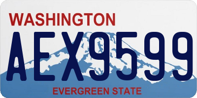WA license plate AEX9599
