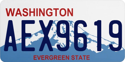 WA license plate AEX9619