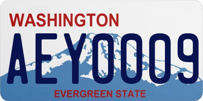WA license plate AEY0009