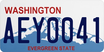 WA license plate AEY0041