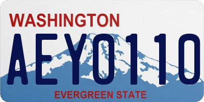 WA license plate AEY0110