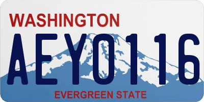 WA license plate AEY0116