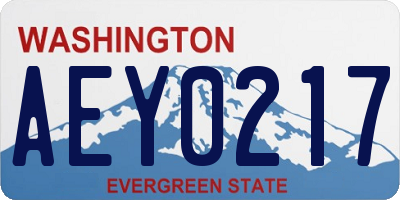 WA license plate AEY0217