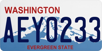 WA license plate AEY0233