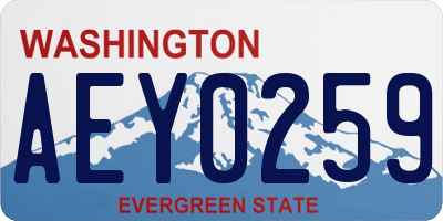 WA license plate AEY0259