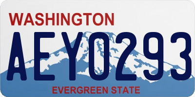 WA license plate AEY0293