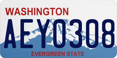 WA license plate AEY0308