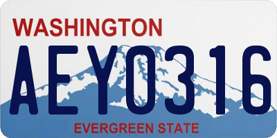 WA license plate AEY0316