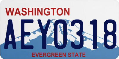 WA license plate AEY0318