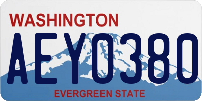 WA license plate AEY0380