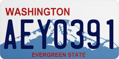 WA license plate AEY0391