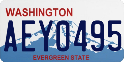 WA license plate AEY0495