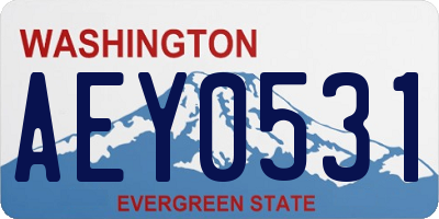 WA license plate AEY0531