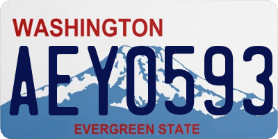 WA license plate AEY0593
