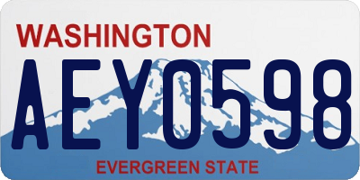 WA license plate AEY0598