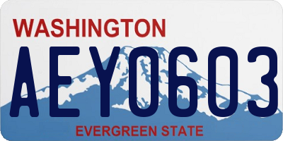 WA license plate AEY0603
