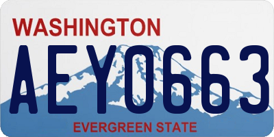 WA license plate AEY0663