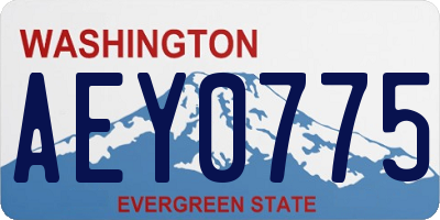 WA license plate AEY0775