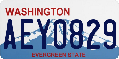 WA license plate AEY0829