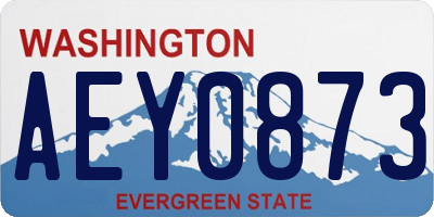 WA license plate AEY0873
