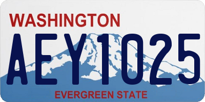 WA license plate AEY1025