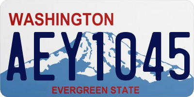 WA license plate AEY1045