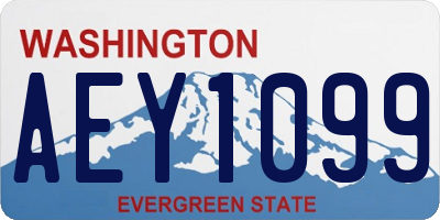 WA license plate AEY1099