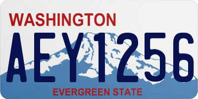 WA license plate AEY1256