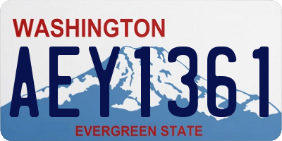 WA license plate AEY1361