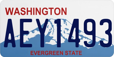 WA license plate AEY1493