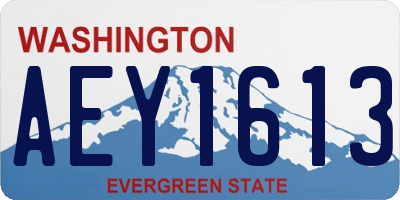WA license plate AEY1613