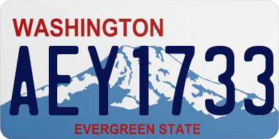 WA license plate AEY1733