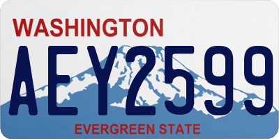 WA license plate AEY2599