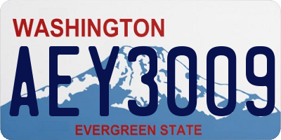 WA license plate AEY3009