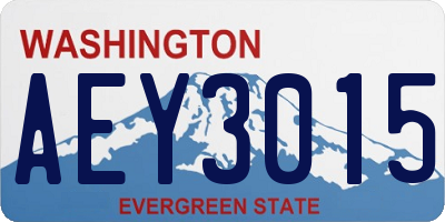 WA license plate AEY3015