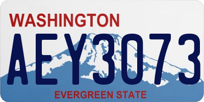 WA license plate AEY3073