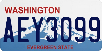 WA license plate AEY3099