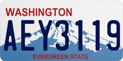 WA license plate AEY3119