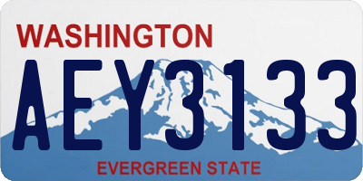 WA license plate AEY3133