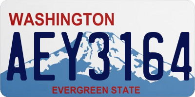 WA license plate AEY3164