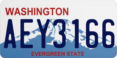 WA license plate AEY3166