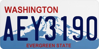 WA license plate AEY3190