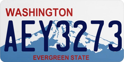 WA license plate AEY3273