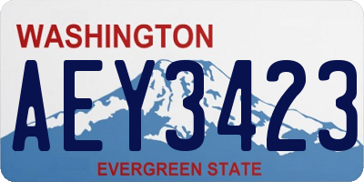 WA license plate AEY3423