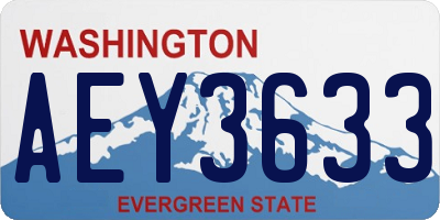 WA license plate AEY3633