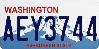 WA license plate AEY3744