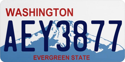 WA license plate AEY3877